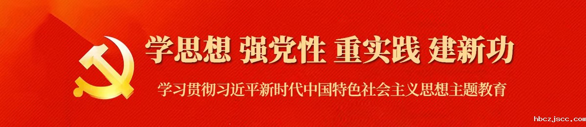 扎实开展学习贯彻习近平新时代中国特色社会主义思想主题教育